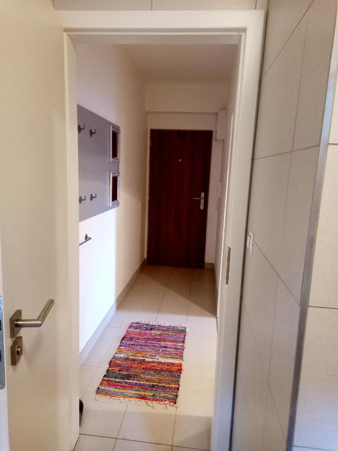 Apartmany Za Sneznikem Dolní Morava Esterno foto