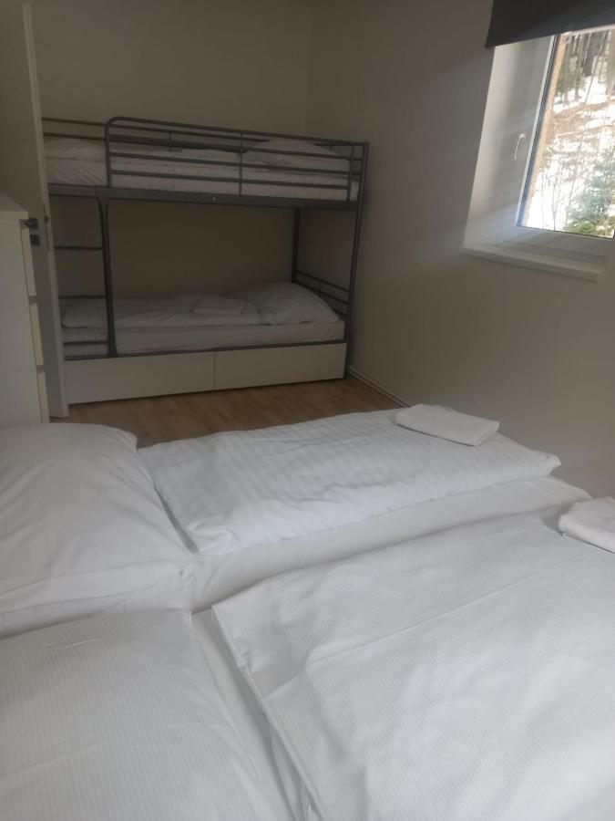Apartmany Za Sneznikem Dolní Morava Esterno foto