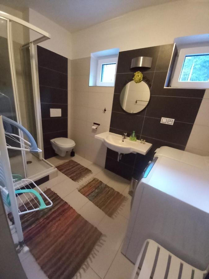 Apartmany Za Sneznikem Dolní Morava Esterno foto